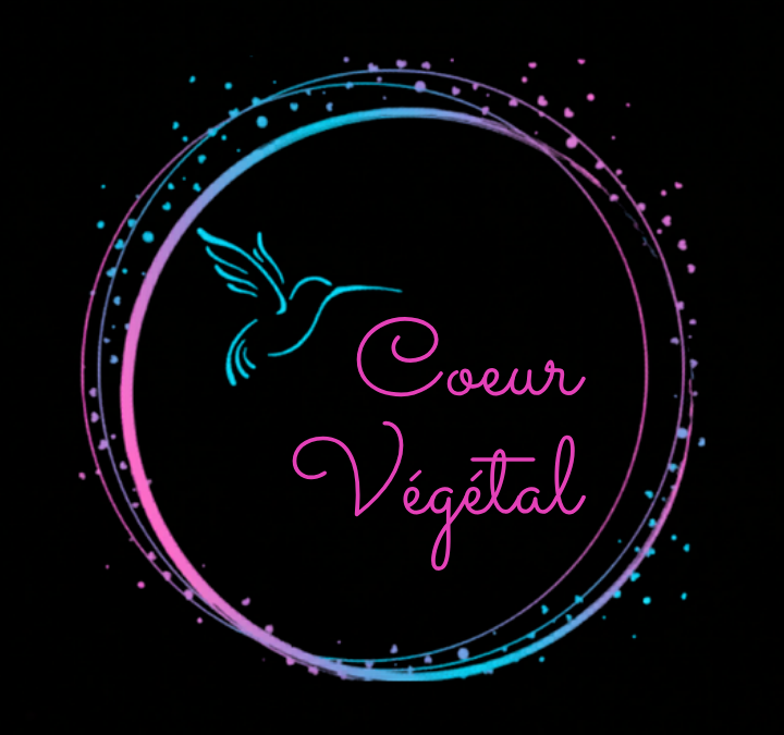 Coeur Végétal : Créations lumineuses & décoratives 